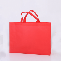 EPB003  Design non-woven bag Customized green tote bag Supply green bag Eco bag manufacturer Eco bag price detail view-1